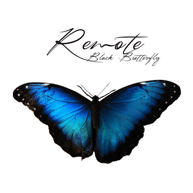 Black Butterfly cover art