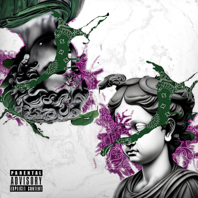 VIGE PROJECT cover art