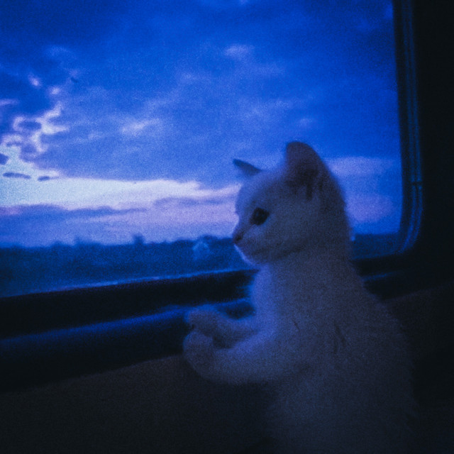 Обкладинка HXRI!ZON — echo of the rails