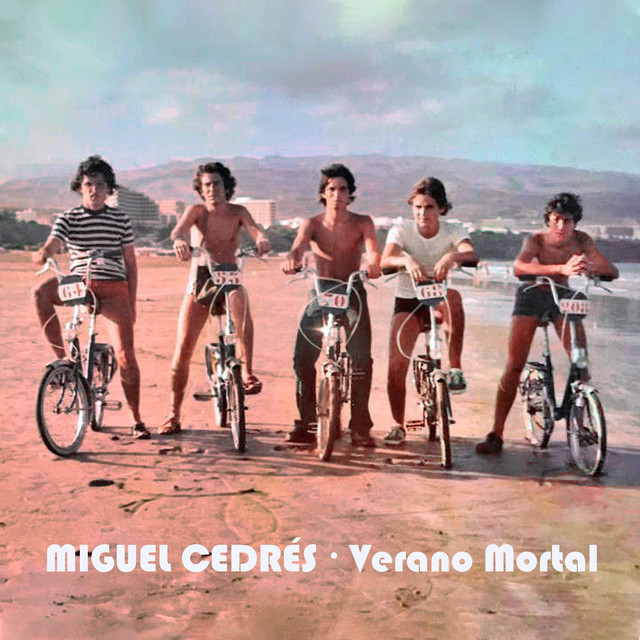 Verano Mortal cover art