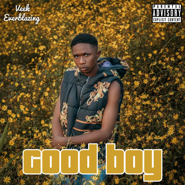 Good Boy