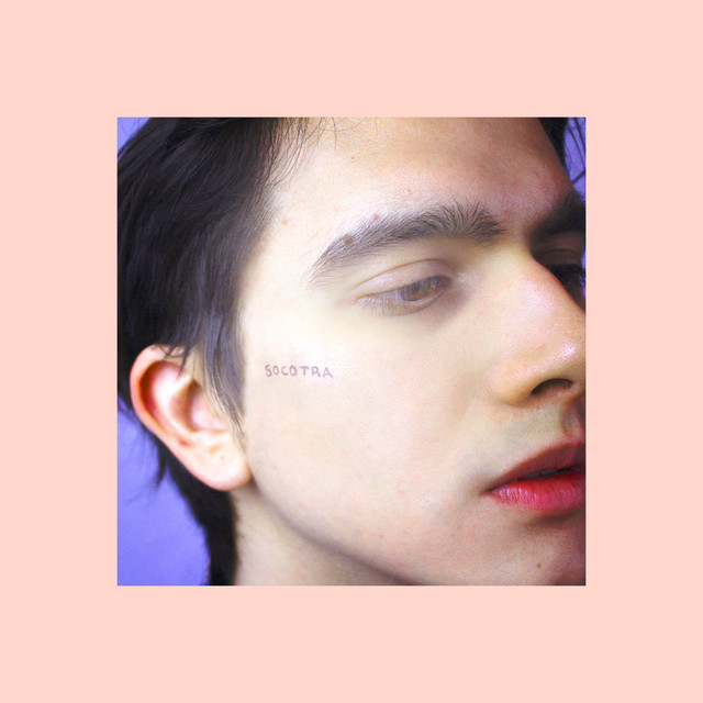 Socotra / Raw cover art