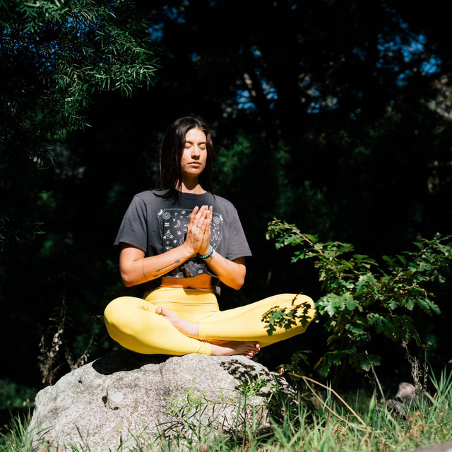 The Peaceful Zone cover art