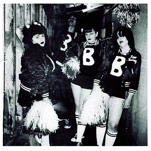 The Bobbyteens photo