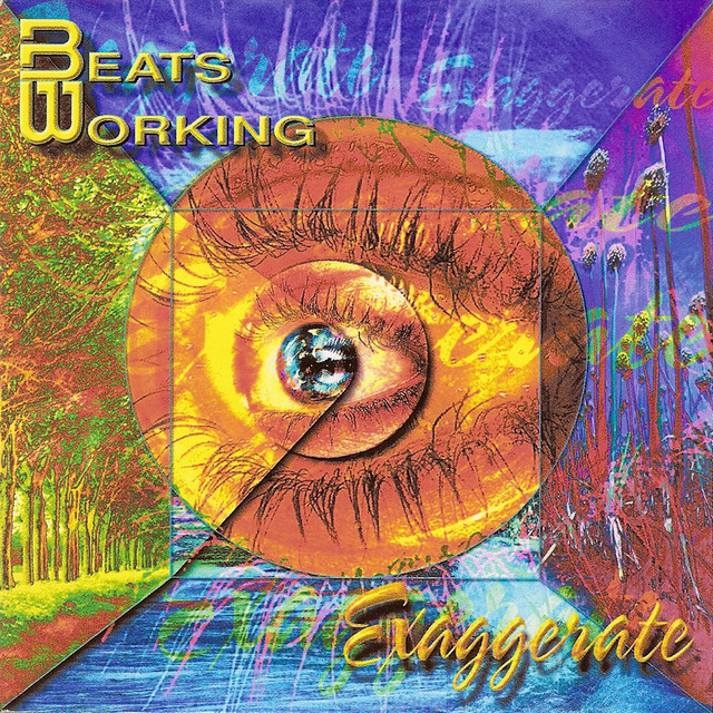 Exaggerate cover art