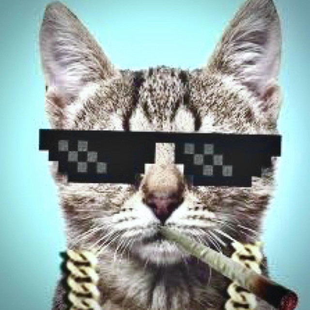 push up on em cover art