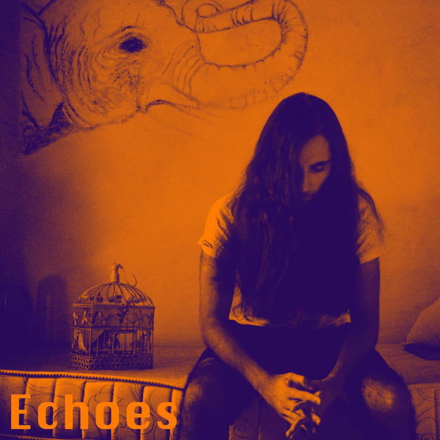 Echoes cover art