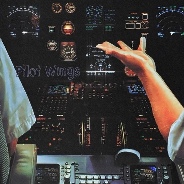 Pilot Wings cover art