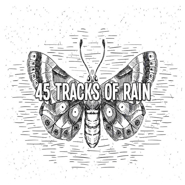 45 Tracks Of Rain cover art