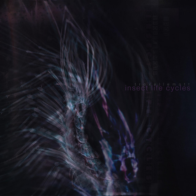 Cover art: Mechanical Crows Are Watching You (Pupa) — Troxellemott