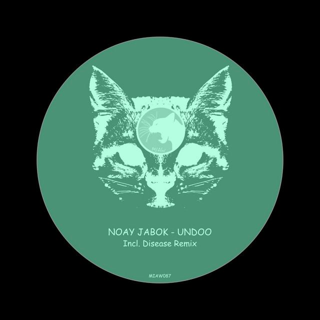 Undoo album art