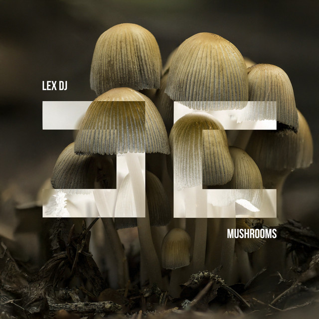 Mushrooms cover art