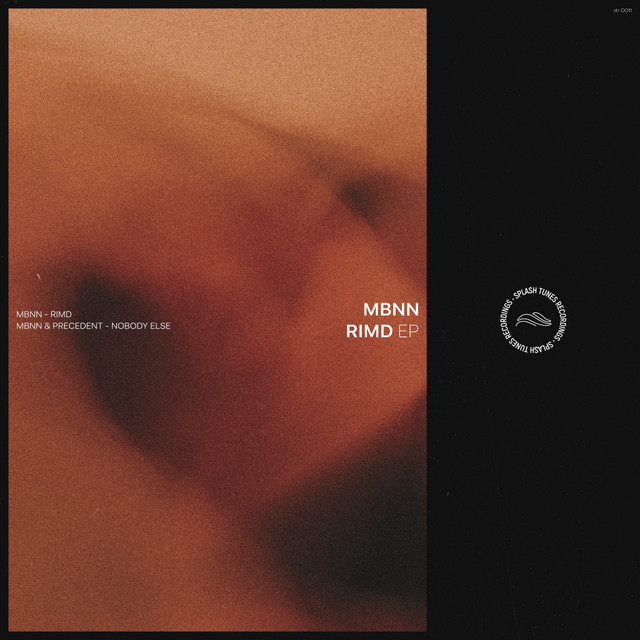 Nobody Else - Extended Mix - song and lyrics by MBNN, Precedent