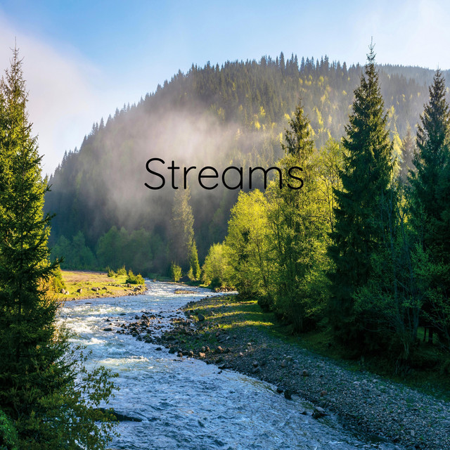 Matthias Schneiders – Streams