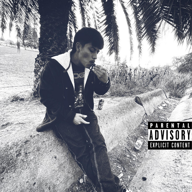 & u don't seem 2 understand. cover art