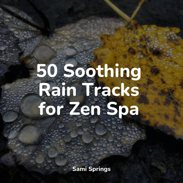 50 Relaxing Rain and Nature Sounds - Album by Tinnitus | Spotify