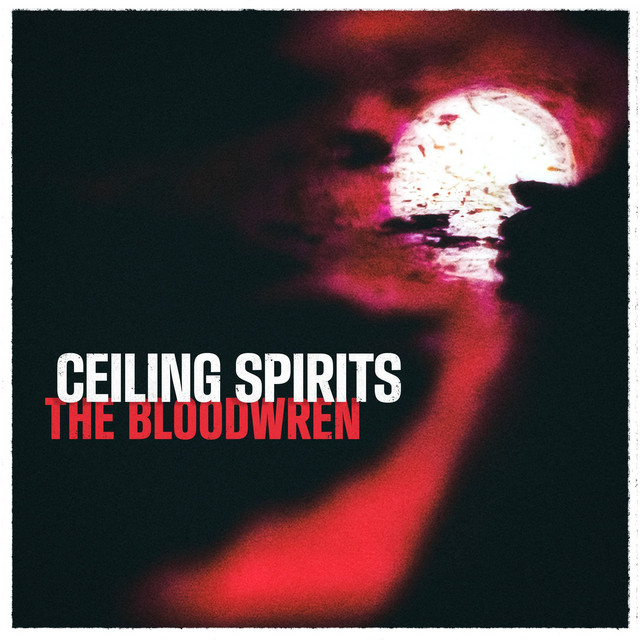 The Bloodwren cover art