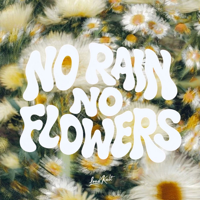 NO RAIN NO FLOWERS artwork