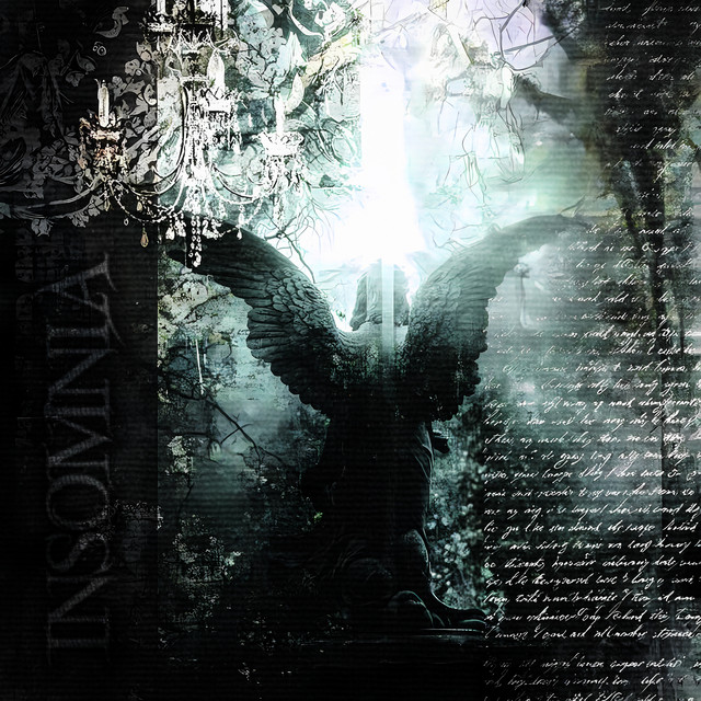 insomnia cover art