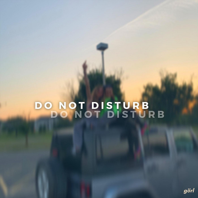 Do Not Disturb cover art