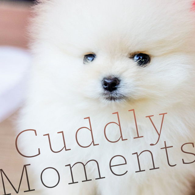 Cuddly Moments cover art