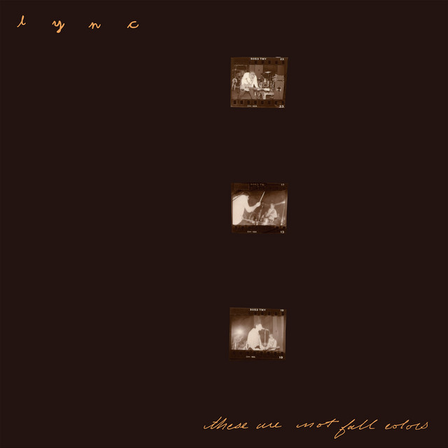These Are Not Fall Colors cover art