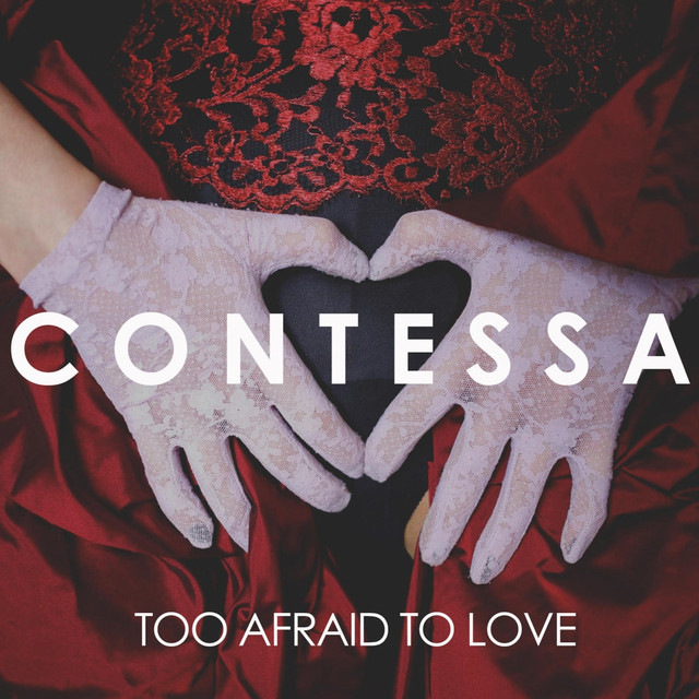 Too Afraid To Love cover