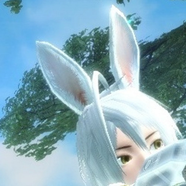 bunny cover art