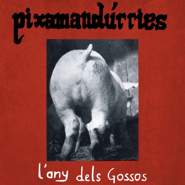 L'any dels gossos cover art