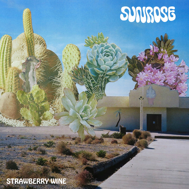 Strawberry Wine cover