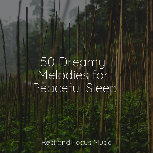 50 Dreamy Melodies for Peaceful Sleep - Album by Baby Sleep Lullaby ...
