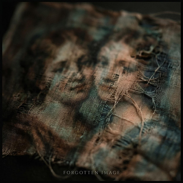 Cover art: Forgotten Image — Uno Kaya