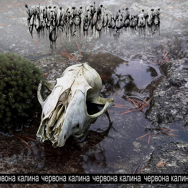 Обкладинка: Червона калина — дядько михайло