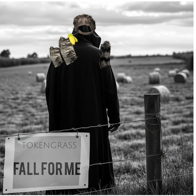 Fall for Me cover art