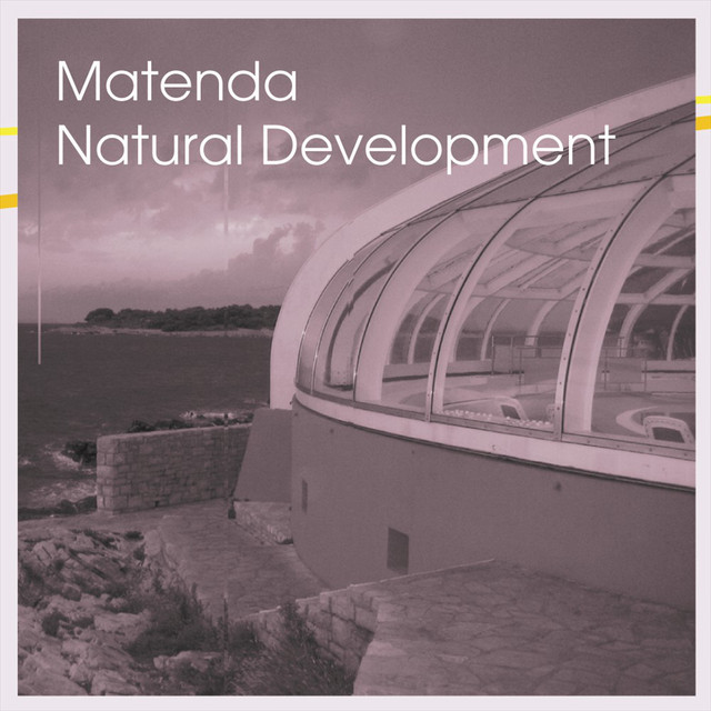 Natural Development cover art