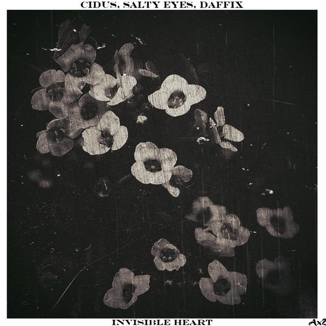 Invisible Heart