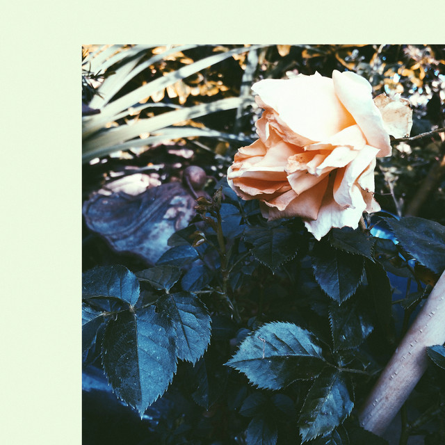 What a Day EP cover art
