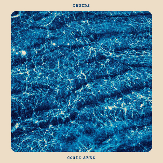 Could Seed — Druids album art