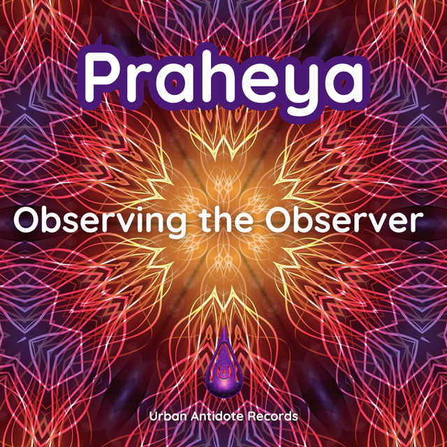 Observing the Observer cover