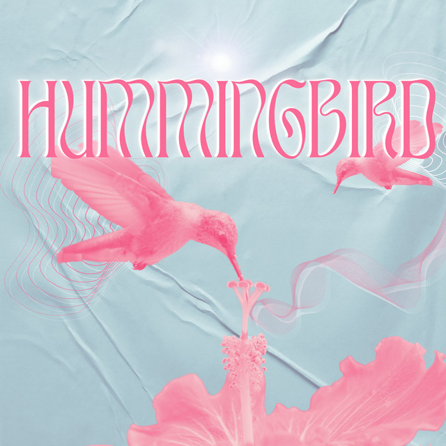 Hummingbird