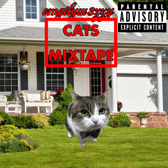 CATS MIXTAPE cover art