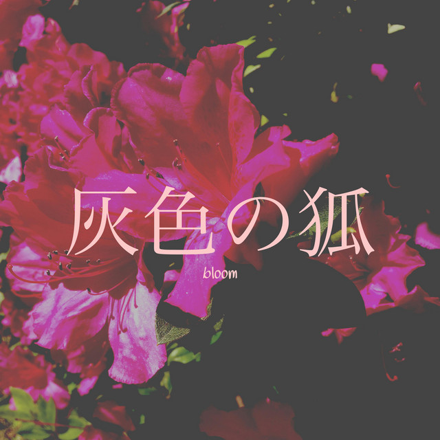 Bloom cover art