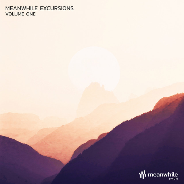 Wonderlife album art