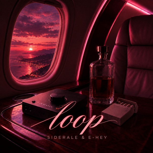 Loop cover