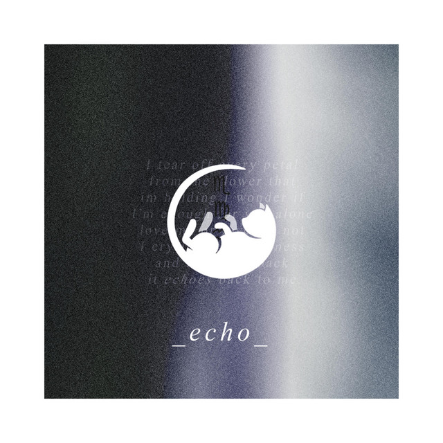 echo cover art