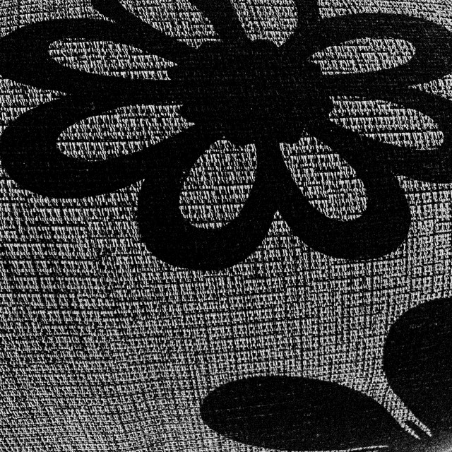 Flor cover art