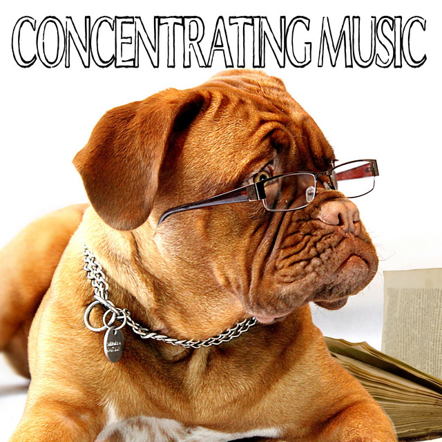 Concentrating Music cover art