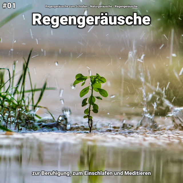 #01 Regengeräusche zur Beruhigung, zum Einschlafen und Meditieren cover art