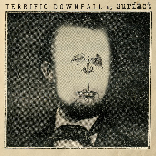 Terrific Downfall cover