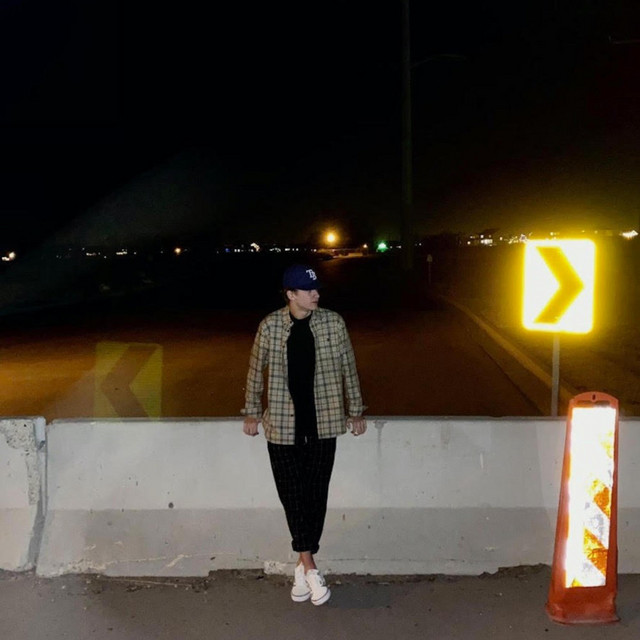 Curb cover art